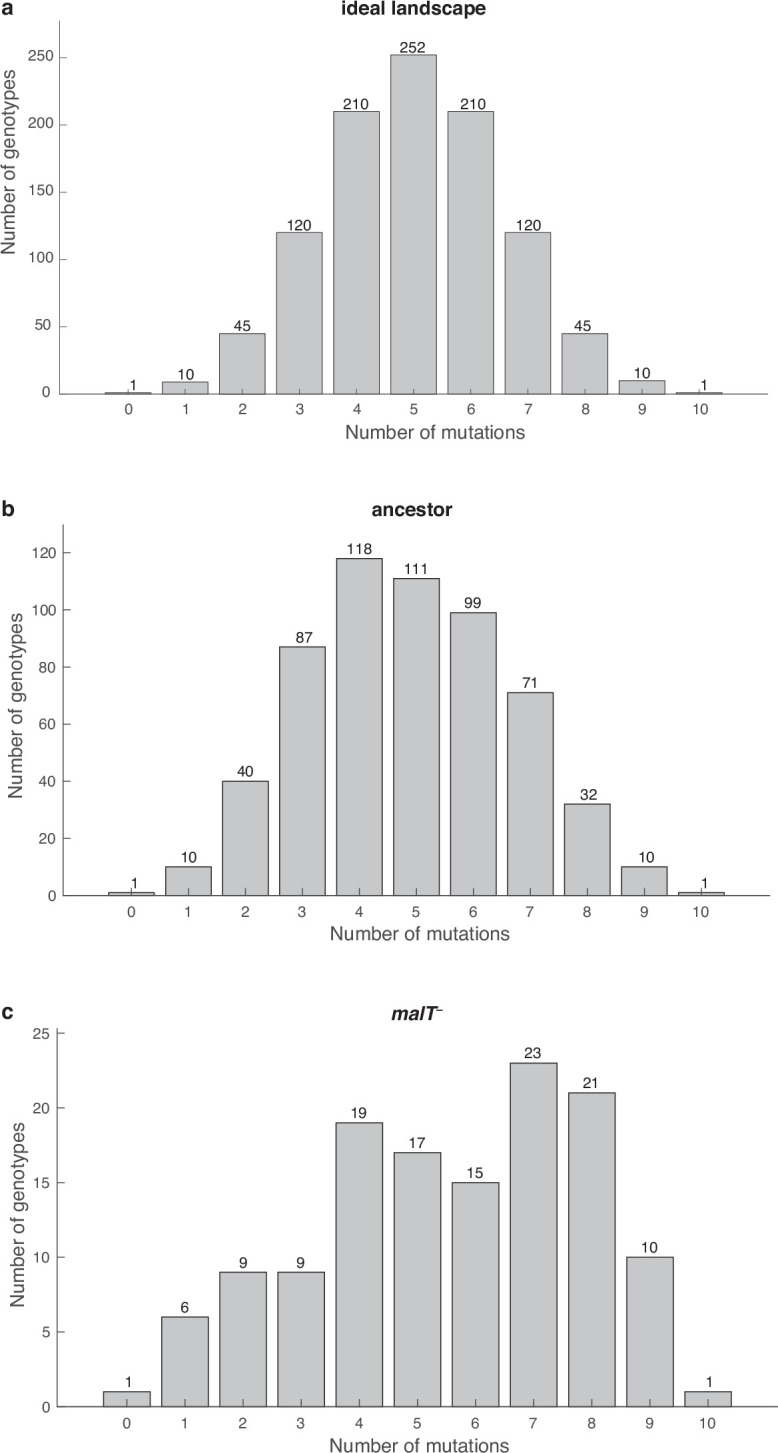 Figure 1—figure supplement 3.