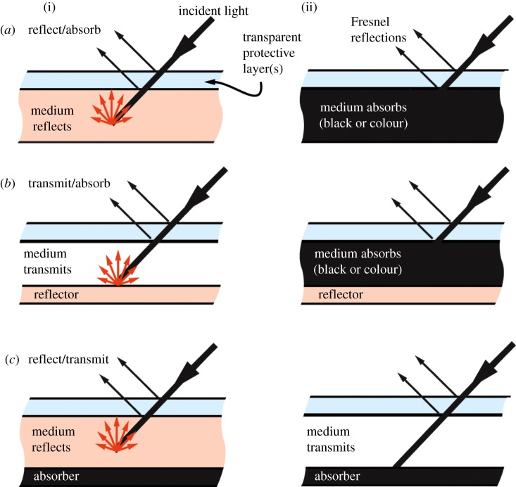 Figure 2.