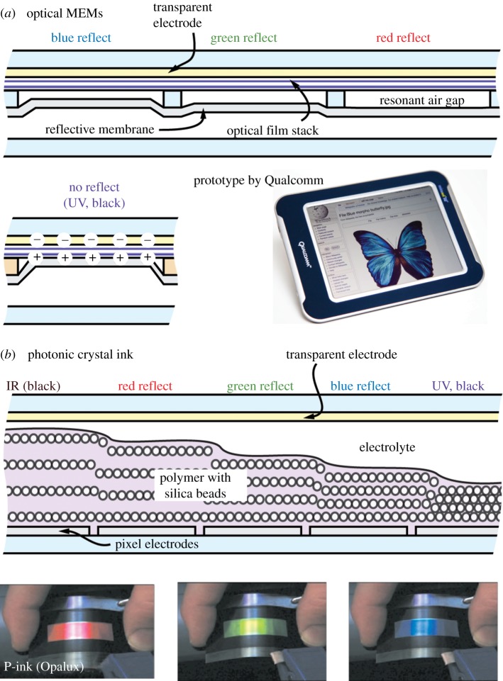 Figure 6.