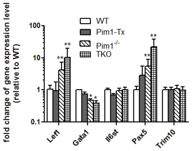 Figure 6