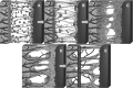 <b>FIG. 3.</b>