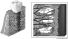 <b>FIG. 4.</b>