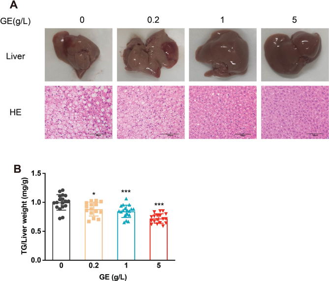 Fig. 3