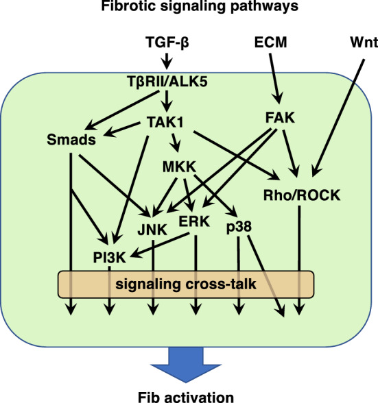 Fig. 3