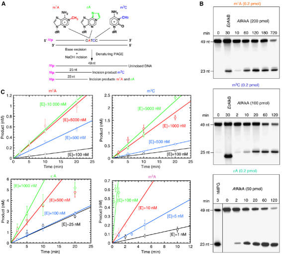 Figure 1abc