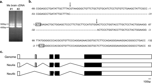 FIGURE 1.