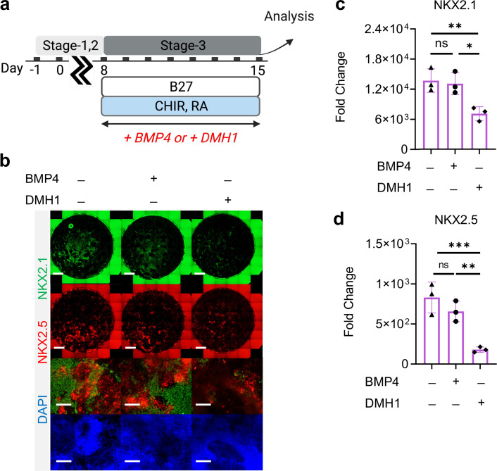 Figure 3—figure supplement 3.