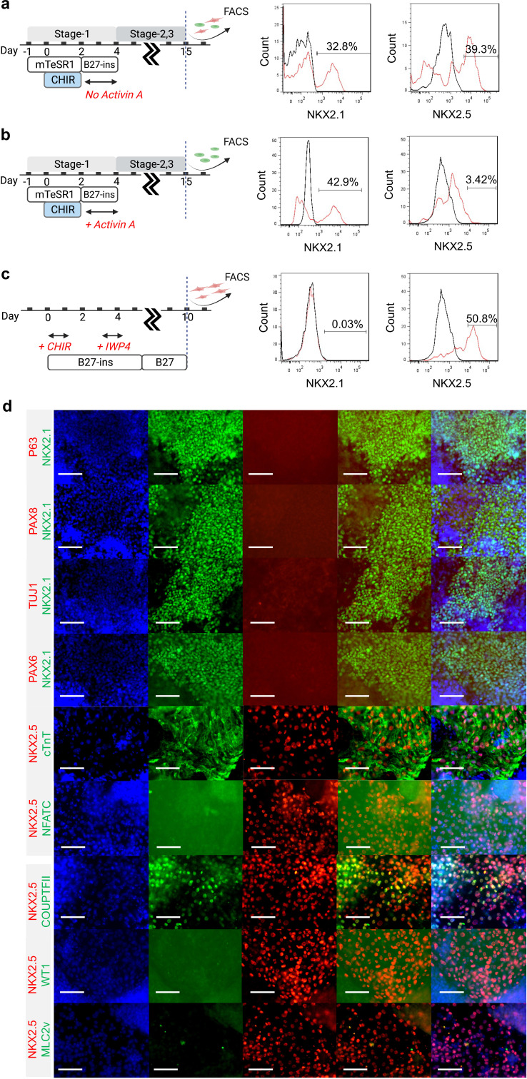 Figure 2—figure supplement 1.