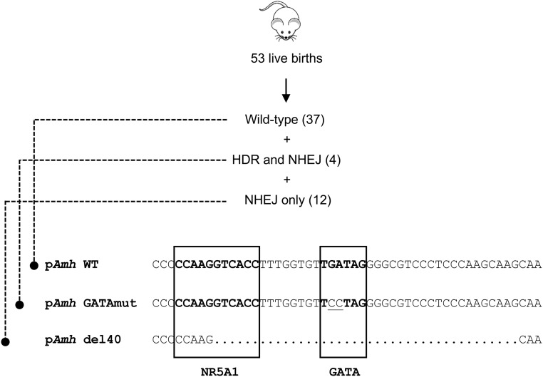 Figure 1.