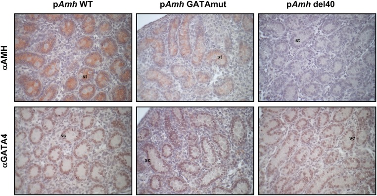 Figure 3.