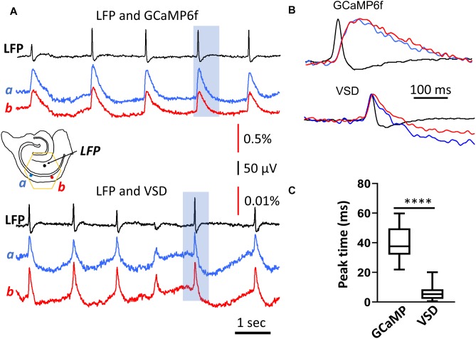 FIGURE 2