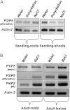 Fig. 8.