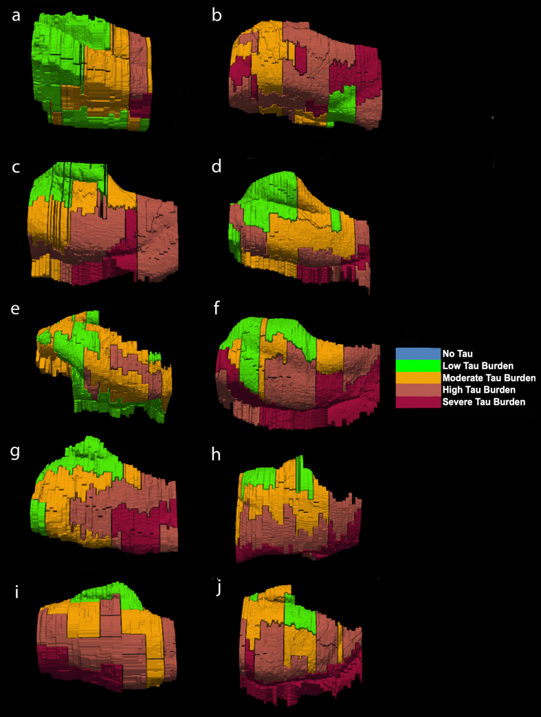 Fig. 6