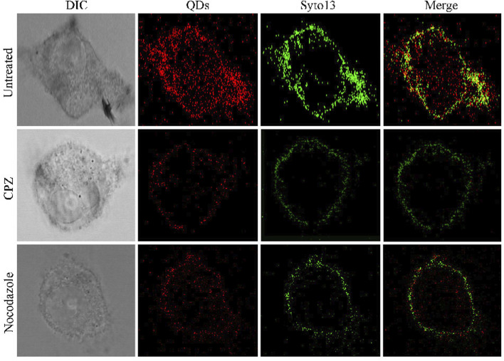 FIGURE 3