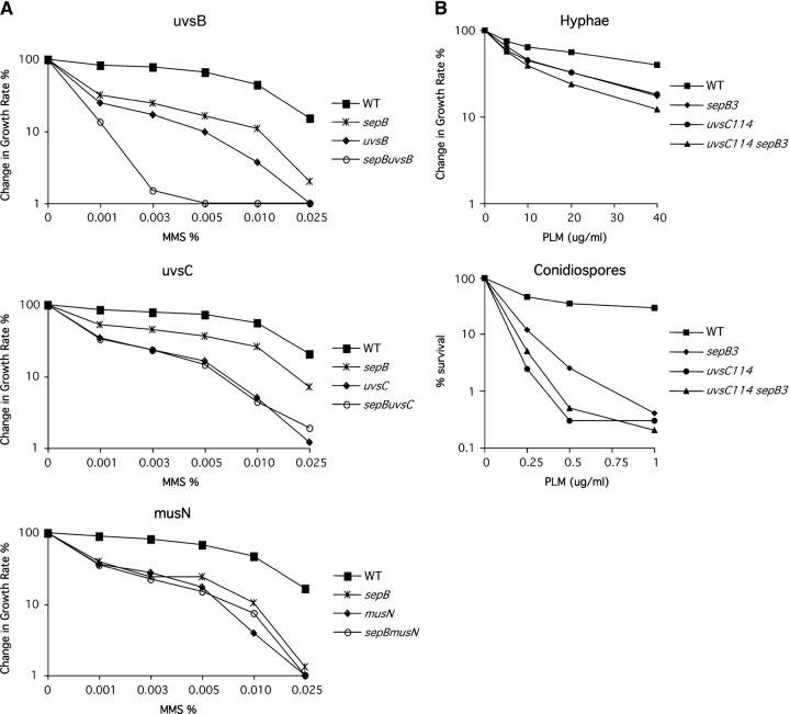 Figure 2.—