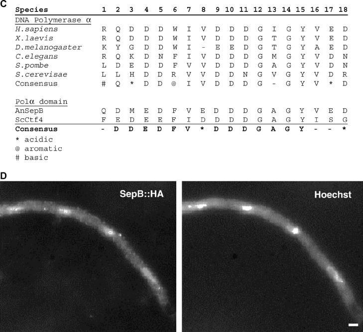 Figure 1.—