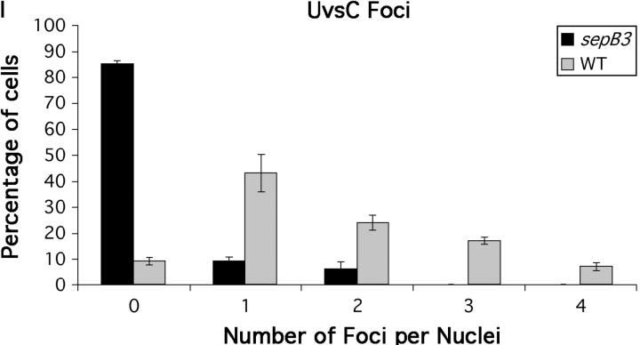 Figure 4.—