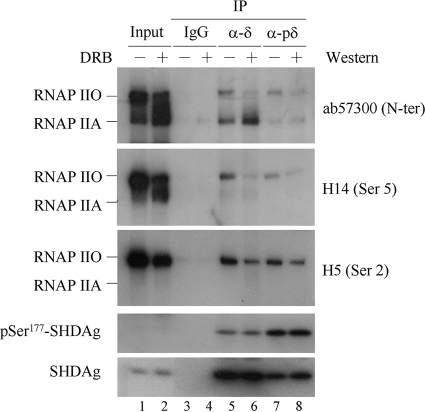 FIG. 5.