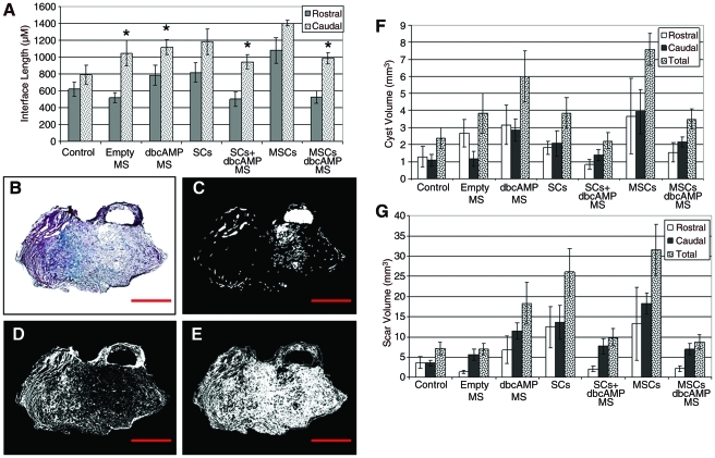 FIG. 8.