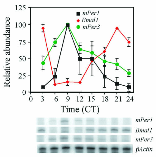 FIG. 4.