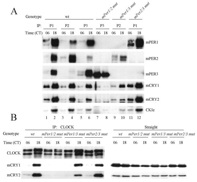 FIG. 6.