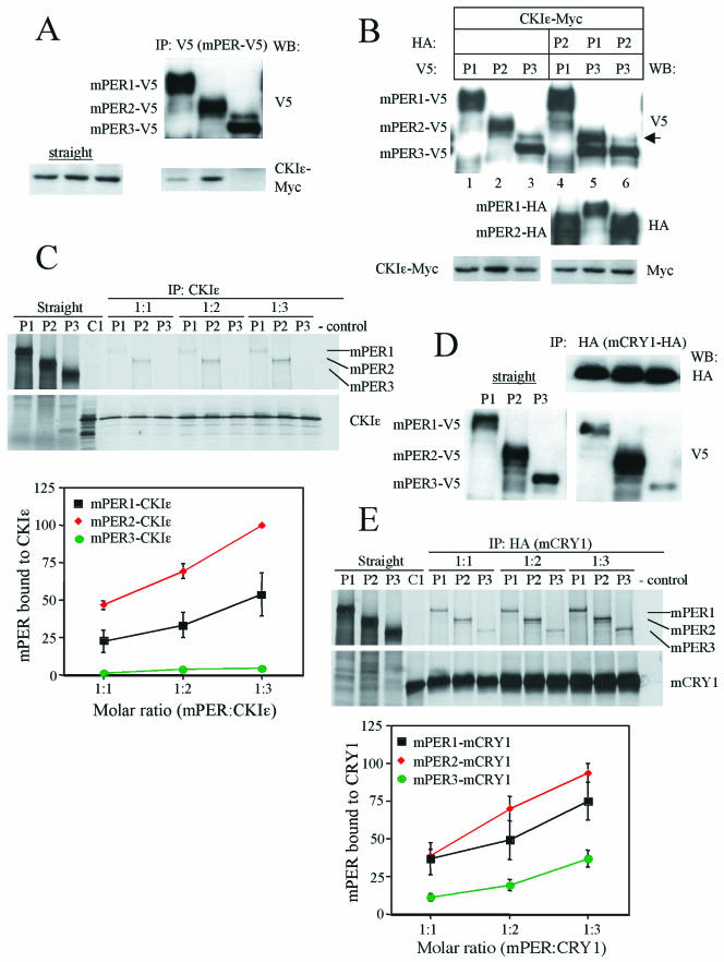 FIG.7.