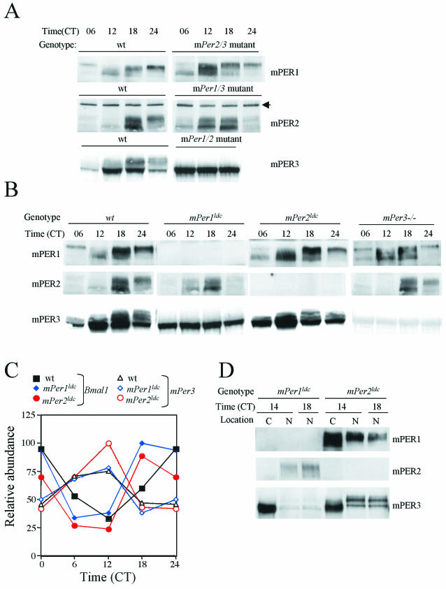 FIG.3.