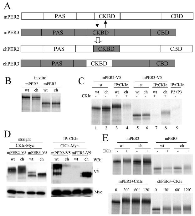 FIG. 8.