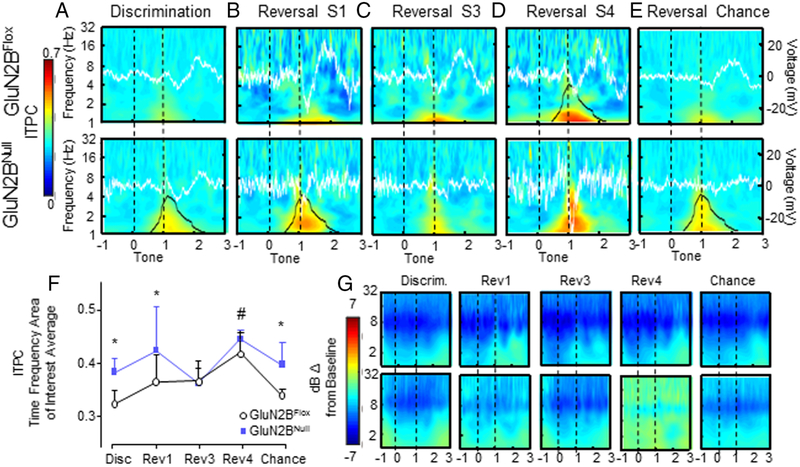 Figure 7: