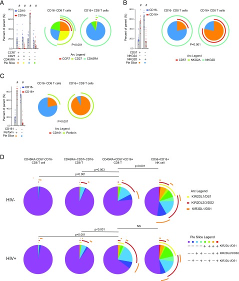 Terminal Effector CD8 T Cells Defined by an IKZF2+IL-7R− ...