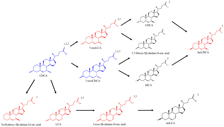 Figure 2