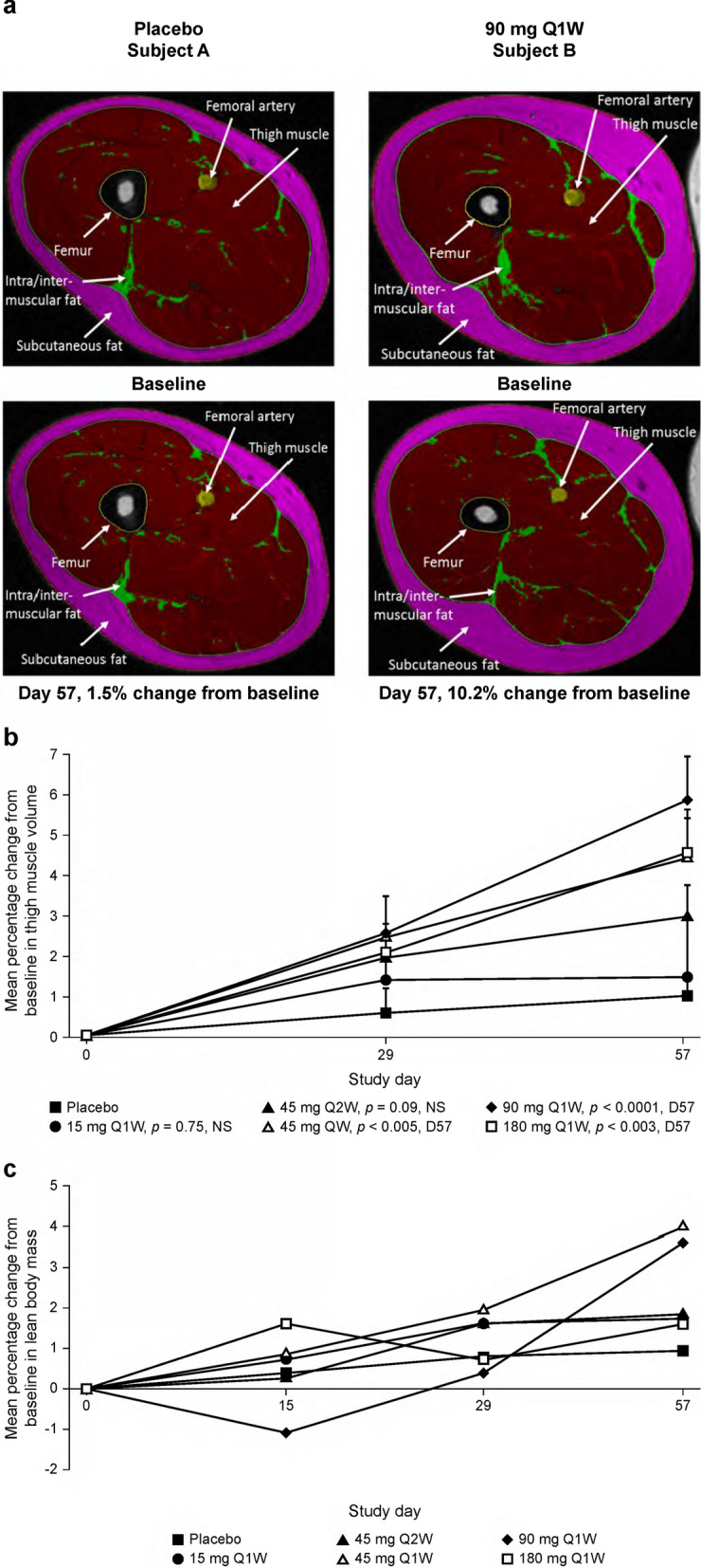 Fig. 6