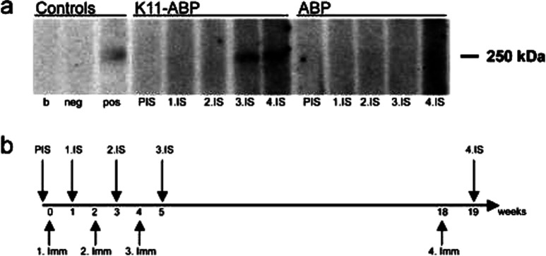 Fig. 3