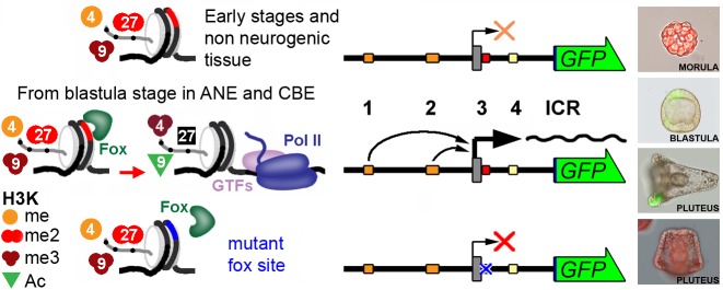 Fig 8