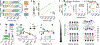 Fig. 4: