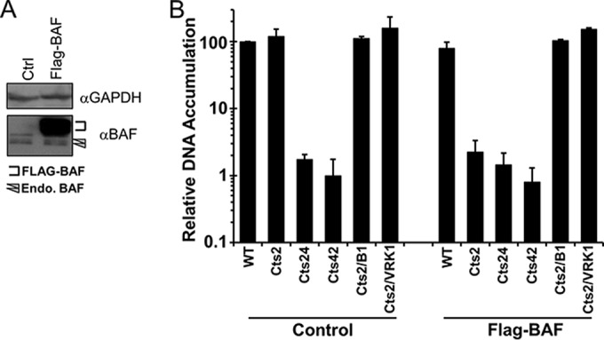 FIG 2