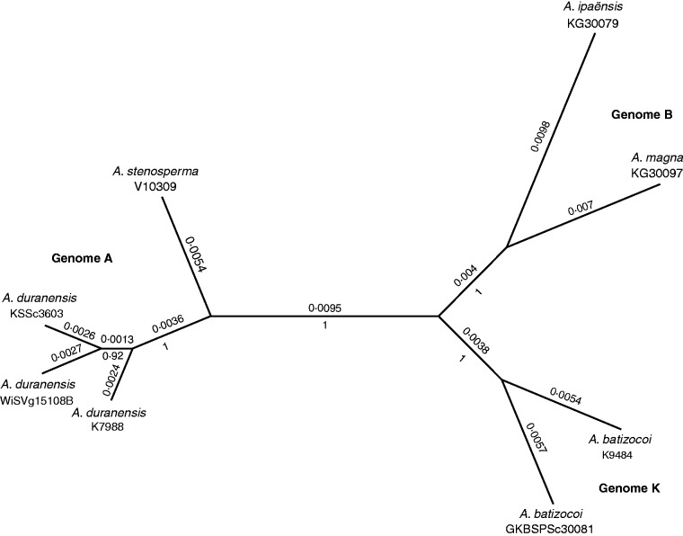 Fig. 6.