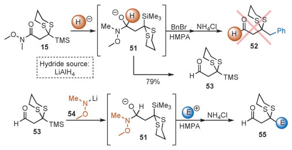 Scheme 5