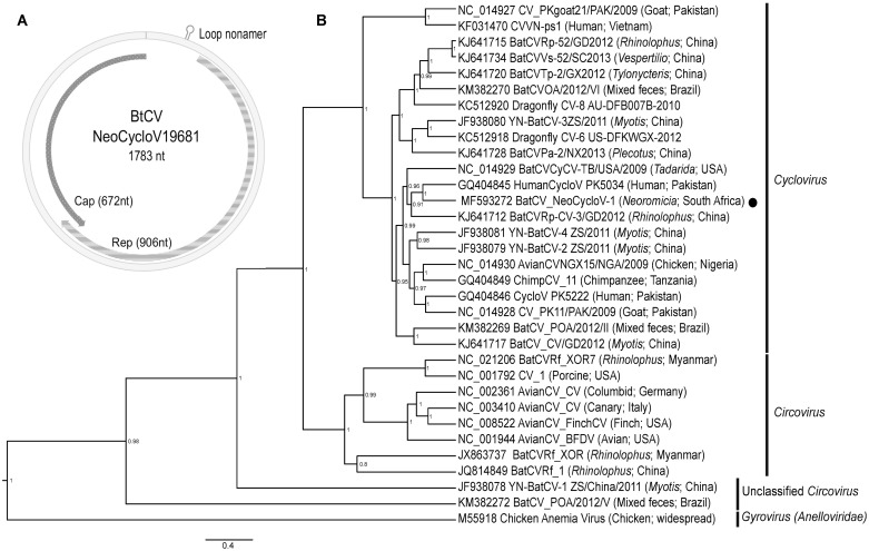 Fig 3