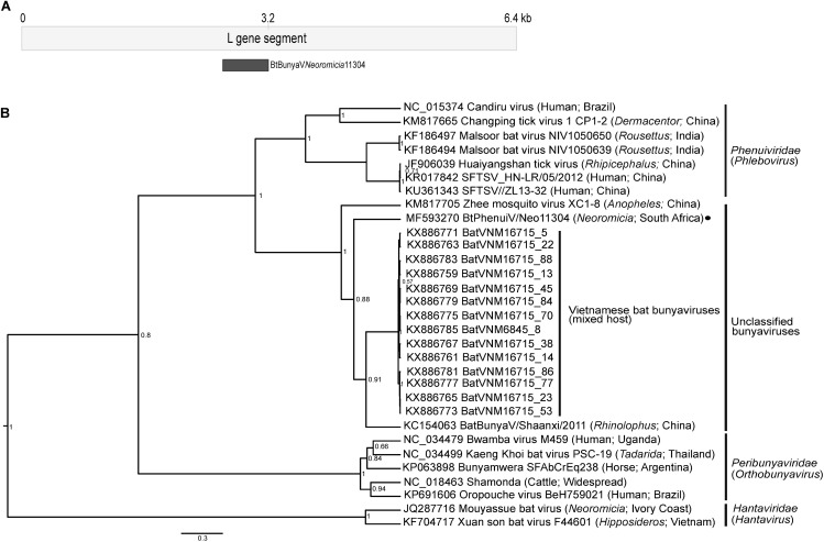 Fig 4