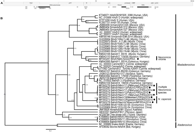 Fig 6