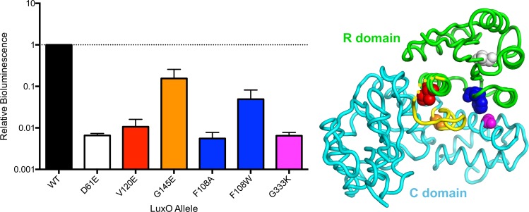 Fig 3