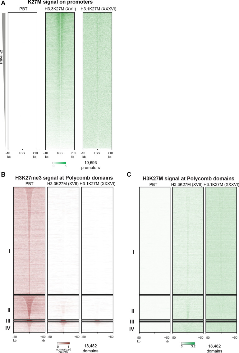 Figure 3—figure supplement 2.