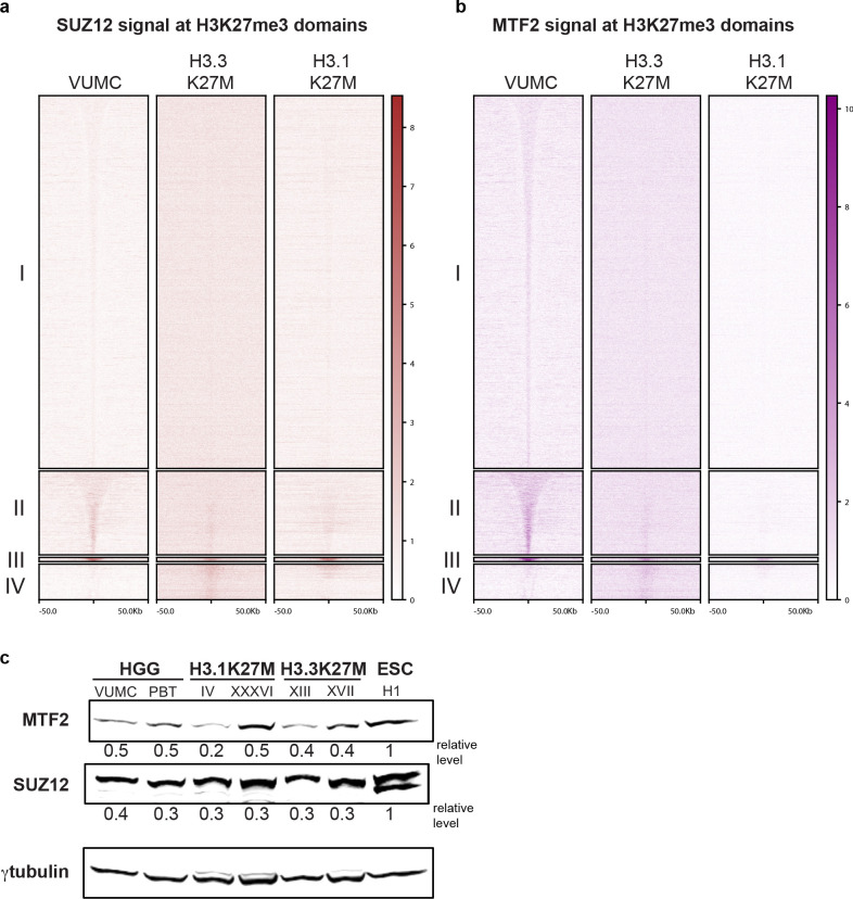 Figure 5—figure supplement 1.