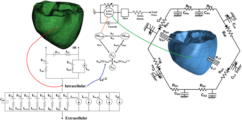 FIGURE 2