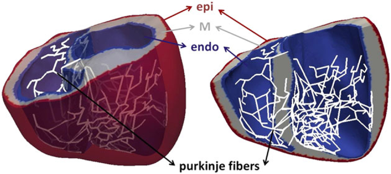 FIGURE 4