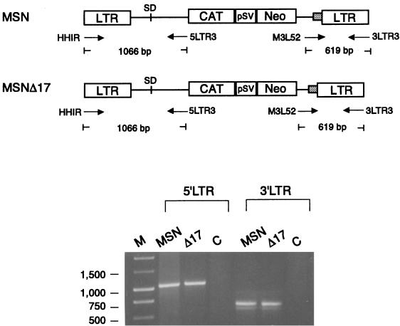 FIG. 3