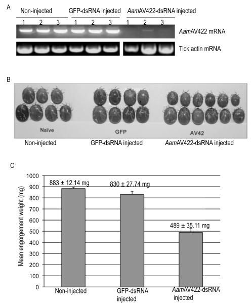 Fig. 9