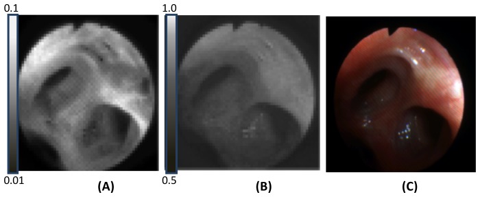 Fig. 9