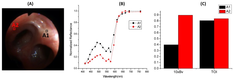 Fig. 8